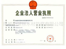 广东 企业营业执照
